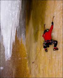 Image from Google