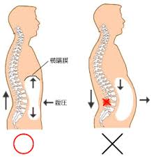 そのため背筋と腹筋のバランスが