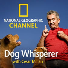 Tag: dog whisperer training - via Daymix