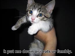 k put me down or i eats