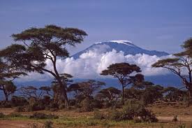 Majestic Mount Kilimanjaro - via Daymix