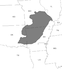 MAP OF THE OZARKS - via Daymix