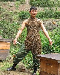 Wang started to raise bees - via Daymix
