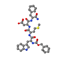 Structure of  Gastrin 