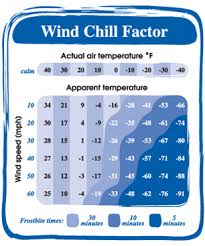 Understanding Wind Chill