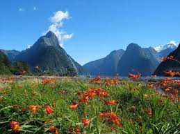 New Zealand Travel Deals - via Daymix