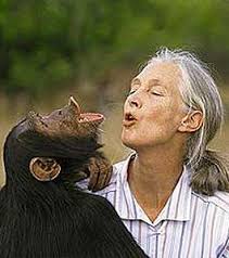 Jane Goodall inspires hope for - via Daymix