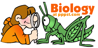 banner_biology.gif