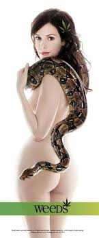 Image Also, <b>Mary Louise Parker</b> Picture