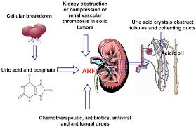 http://www.medsci.org/v04/p0083/ijmsv04p0083g04.jpg