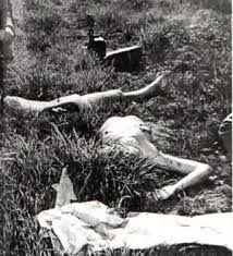 The Black Dahlia