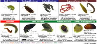 Sample B click on image or link to
