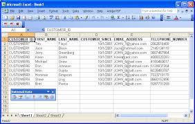 Query Results Displayed in MS Excel