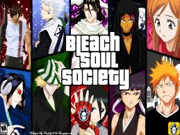 2007; Category: Bleach