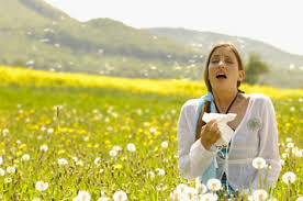 Finding  allergy 