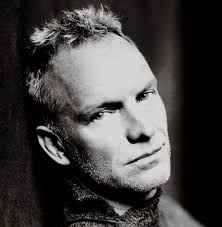 Sting Picture 3