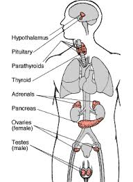 http://www.medical-look.com/diseases_images/addisons_disease.gif