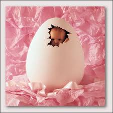 anne_geddes_preview_2.png