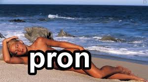 pitbull vs  pron   PicArena Image    
