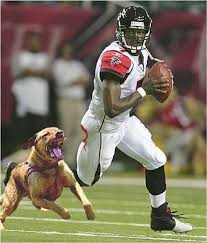 Image I hope <b>Michael Vick</b> got bitten by at <b>...</b> Picture