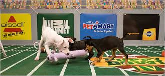 Puppy Bowl IV - Television - via Daymix