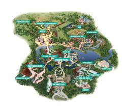   Animal Kingdom  