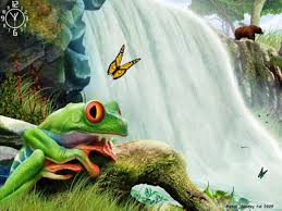 We think Waterfalls are the