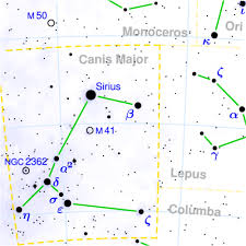   Canis   Major constellation