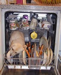 <br/>Bosch Dishwasher Review