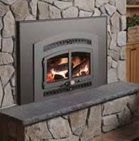 Wood Burning Stove Insert