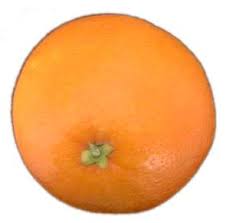 Orange fruit