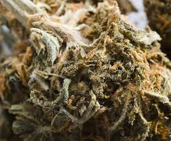 marijuana - via Daymix