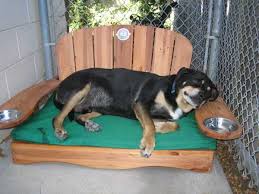 He is a wonderful  dog   who has played    