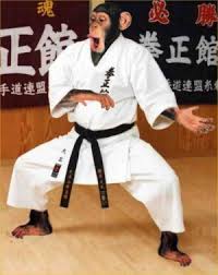karate chimp.jpg - via Daymix