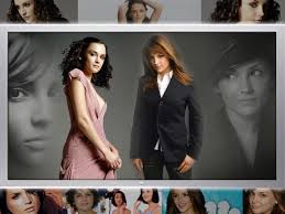 Rachael Leigh Cook Picture 4