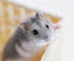 2010年04月の記事 | 山口実紗「日々セキララ日記」