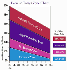 Acumen EON Basix Heart Rate - via Daymix