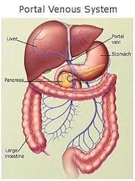 cleansing enema benefits