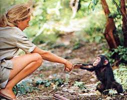 Jane Goodall - via Daymix