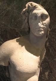 Bust of  Alexander   the  Great  