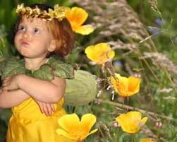 Cute Little Fairy