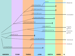 Amniote-evolution-hu.png‎ (720 - via Daymix