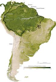 Deforestation of the Amazon - via Daymix