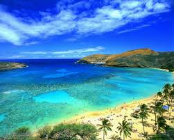 Hawaii and watch - via Daymix