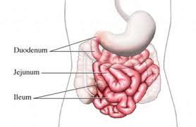 http://www.beliefnet.com/healthandhealing/images/si55551448_ma.jpg