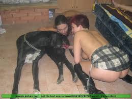 Two  b dirty lesbians  b  blowing and     