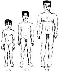 Wet Dreams in Puberty