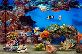 MyReef 3D Acquarium 1.6 iPhone