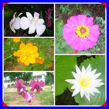ในวัยเด็กน้อย ๆ