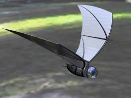 spy-bat-1.jpg